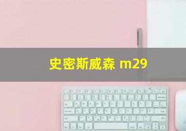 史密斯威森 m29